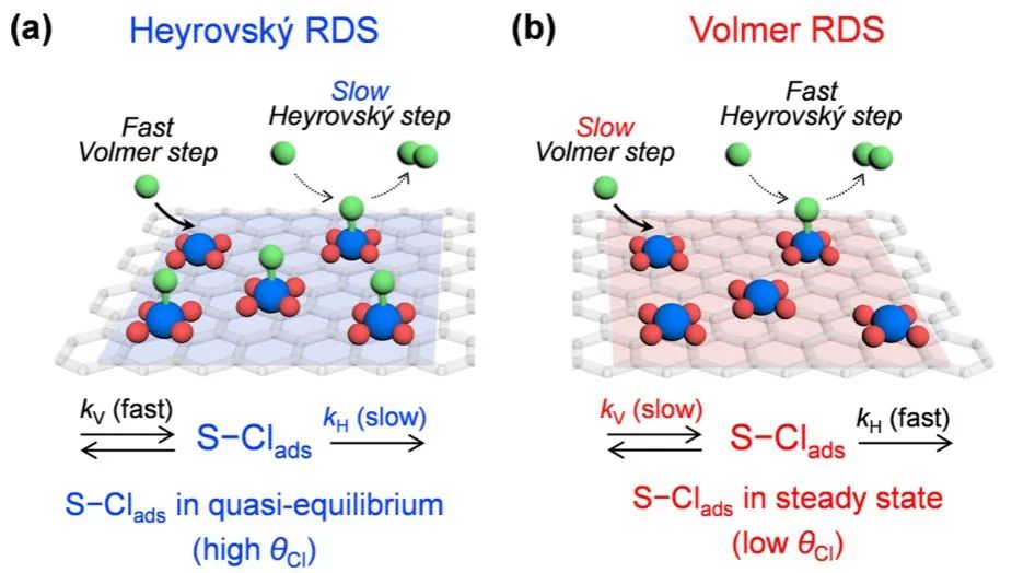 ACS Catalysis：用于析氯反应的原子分散Pt催化剂: 动力学和机制的电位相关转换