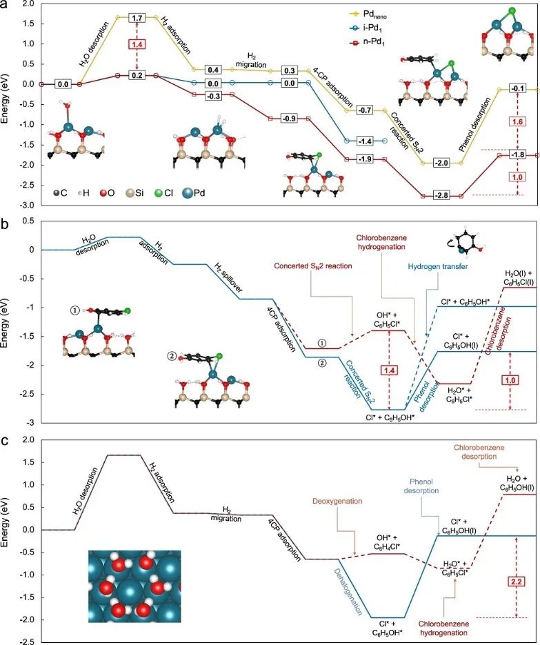 Nature子刊：高选择性和活性，超越Pd SACs和Pd纳米颗粒！