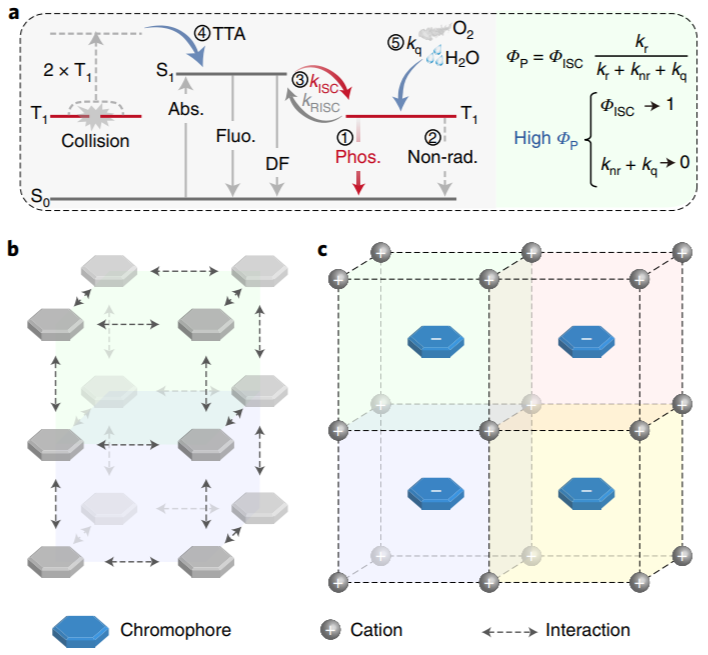 南京工业大学黄维院士Nature Materials