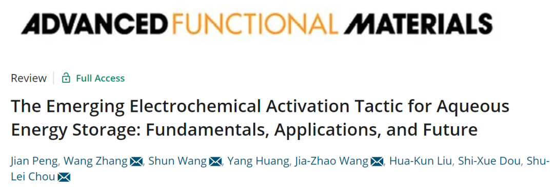 侴术雷/王舜/张旺/王佳兆AFM: 水系储能新兴电化学活化策略研究进展