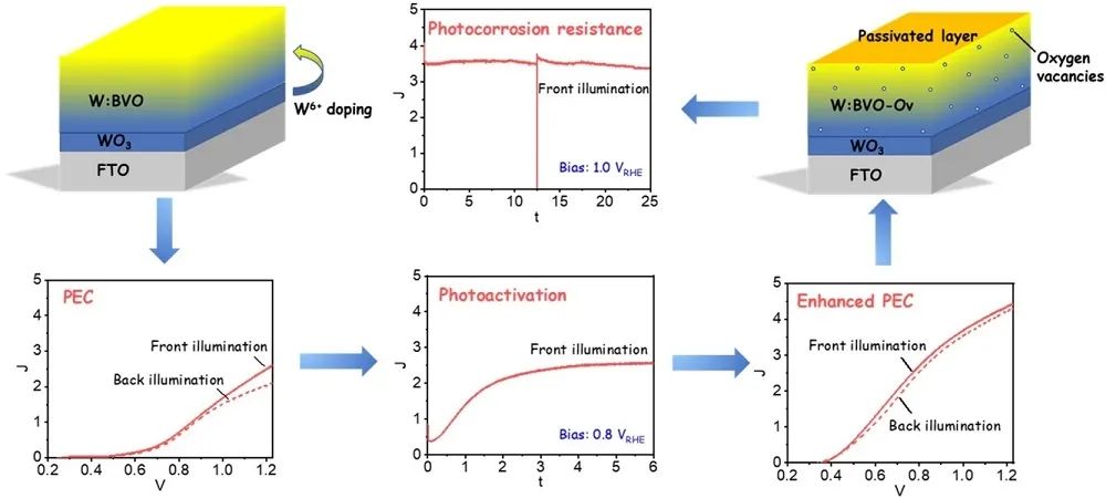内大/河科大Appl. Catal. B.：控制BiVO4光阳极上的W诱导缺陷，提高太阳能水分解性能和抗光腐蚀性