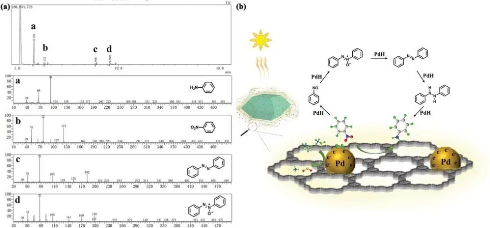 郑大臧双全/赵淑娜Adv. Sci.：具有可控COF壳形貌的核-壳MOF@COF杂化物助力光催化级联反应