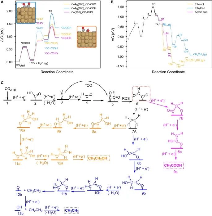 级联催化，再登Nature 子刊！