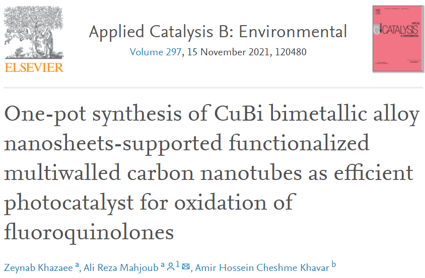 ​​​Appl. Catal. B.：一锅法！MWCNTs负载CuBi双金属合金纳米片作为降解氟喹诺酮类的高效光催化剂