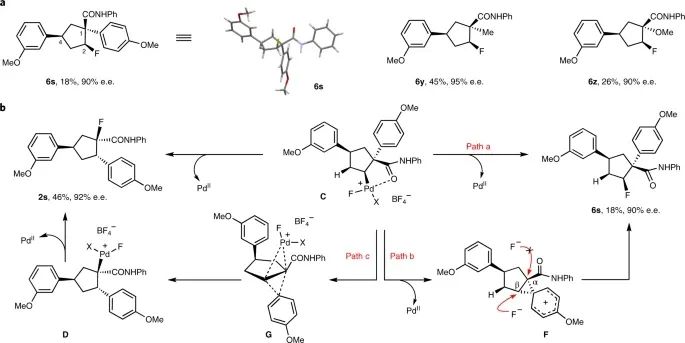 Nature Chemistry：传统就是用来打破的！基于Pd的异向重排