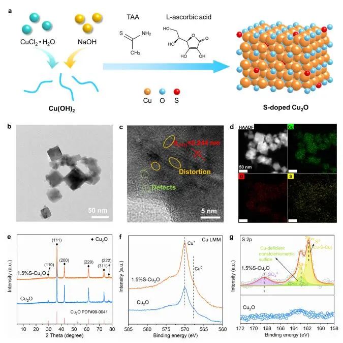 计算成果，8篇顶刊：Nature子刊、Angew、JACS、EES、AM、AFM等！