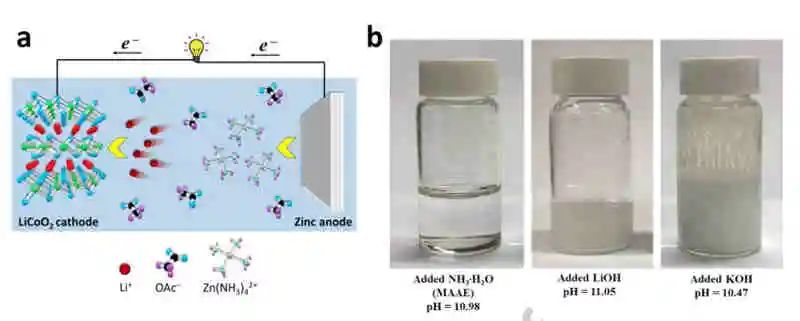 电池顶刊集锦：AEM、Nano Energy、EnSM、ACS Energy Lett.等最新成果