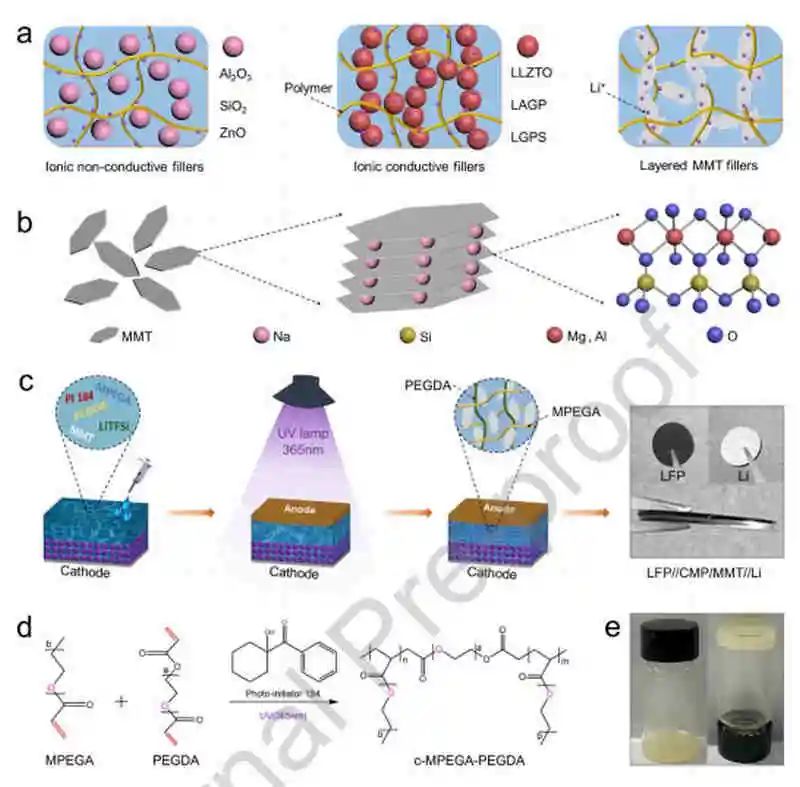 西交丁书江Nano Energy：金属锂电池聚合物固体电解质中蒙脱石的局部电场效应