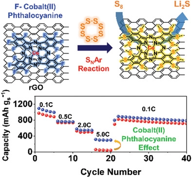 AFM：以钴(II)为中心的氟化酞菁实现优异转换动力学的坚固锂硫电池