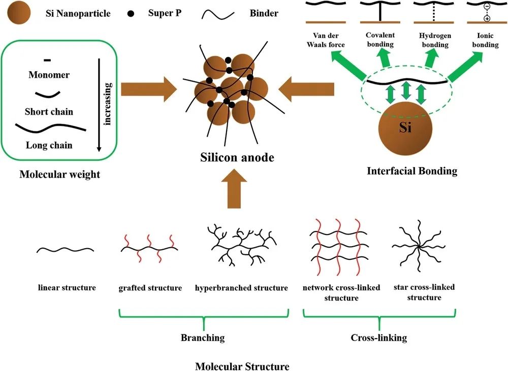 侴术雷/王保峰Small: 通过粘结剂的分子设计增强硅负极电化学性能的关键因素