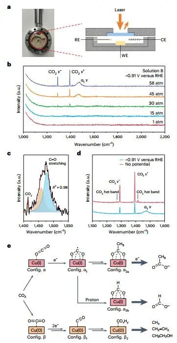 戴宏杰院士，最新Nature Catalysis！