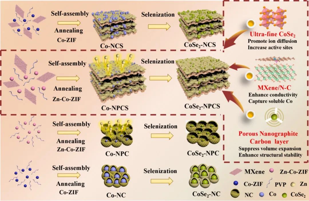 复旦余学斌ACS Nano：空间隔离启发的超细CoSe2实现高倍率、高能铝电池