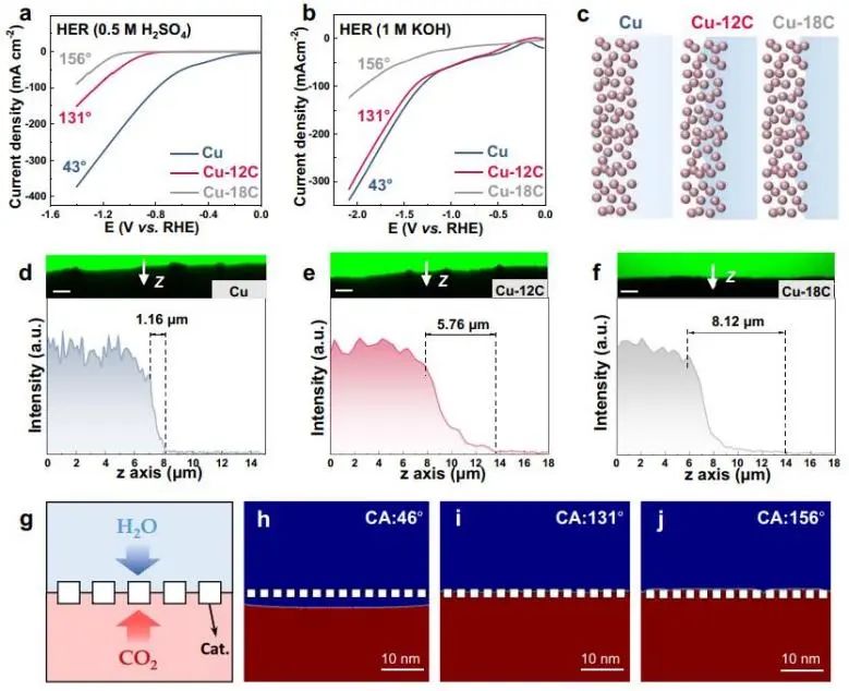 催化顶刊集锦：Nature子刊、JACS、Angew.、AFM、Nano Letters、ACS Catal.等成果