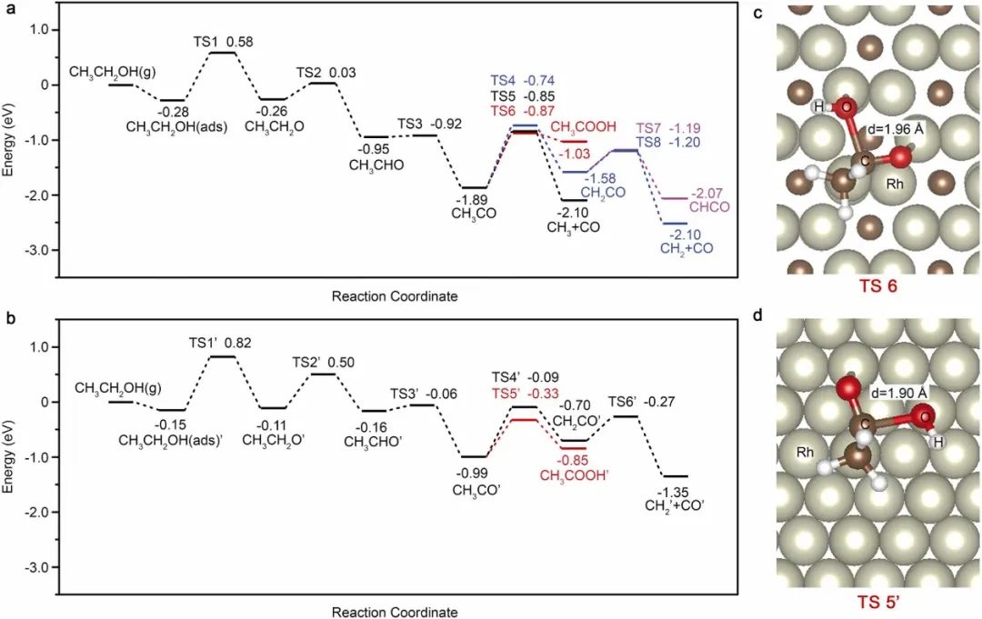 催化顶刊合集：JACS、Appl. Catal. B、AFM、Nano Energy、CEJ、ACS Nano等成果！