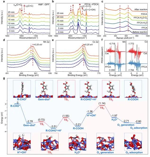 催化顶刊集锦：Nature子刊、Angew.、ACS Catalysis、AM、NML、Small等成果！