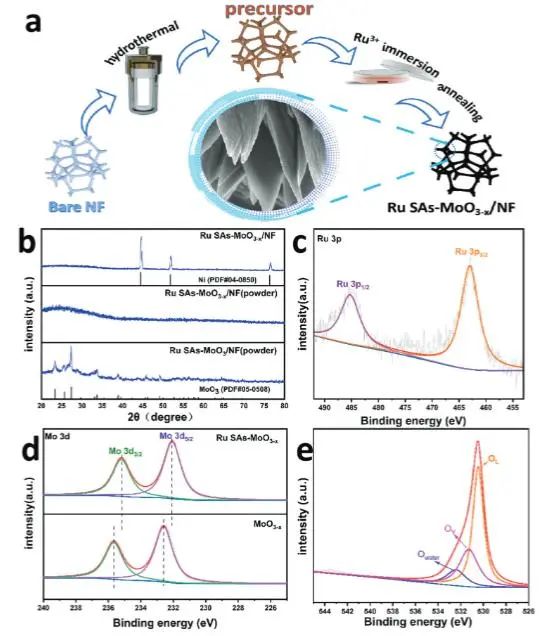 催化顶刊集锦：JACS、Angew.、AFM、ACS Catal.、Adv. Sci.、Small等成果