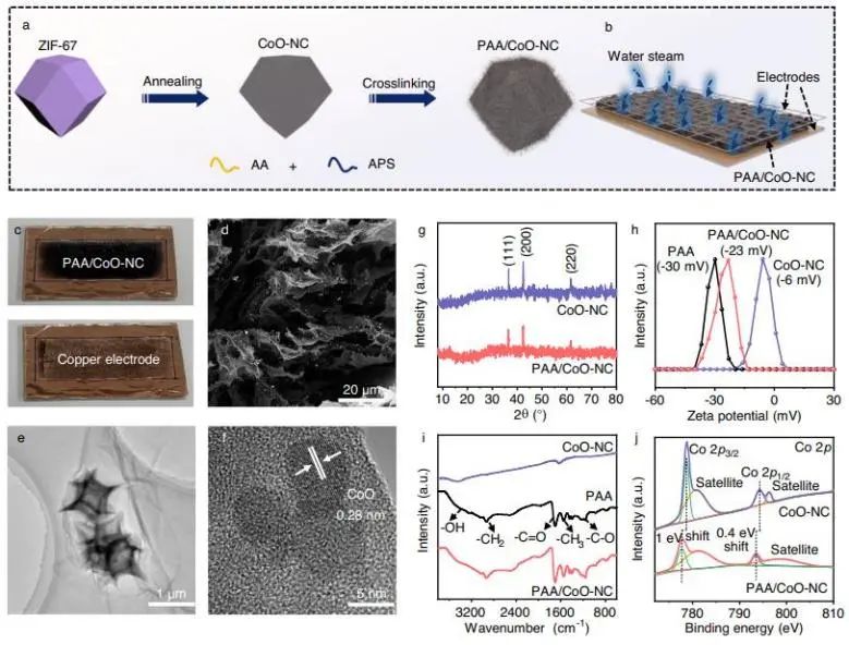 催化顶刊集锦：Nature子刊、JACS、AFM、ACS Catalysis、Nano Energy等