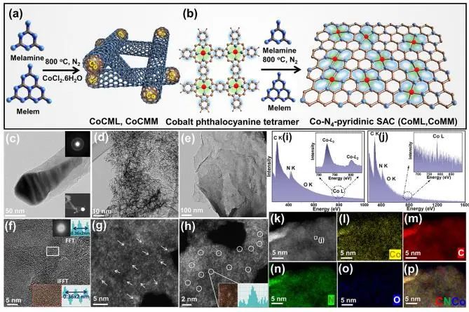 催化顶刊集锦：Nature子刊、JACS、AFM、ACS Catalysis、Nano Energy等