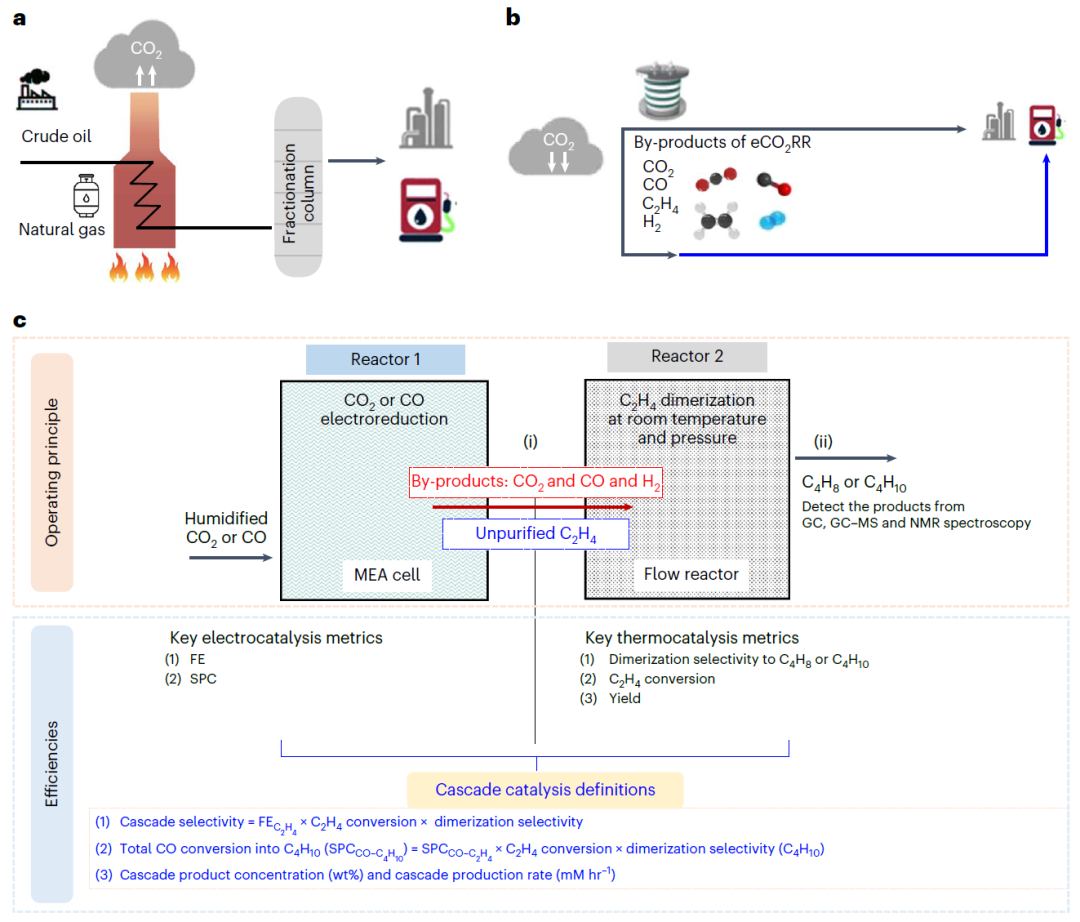 超燃！他发表第16篇Nature Catalysis，第36篇JACS！