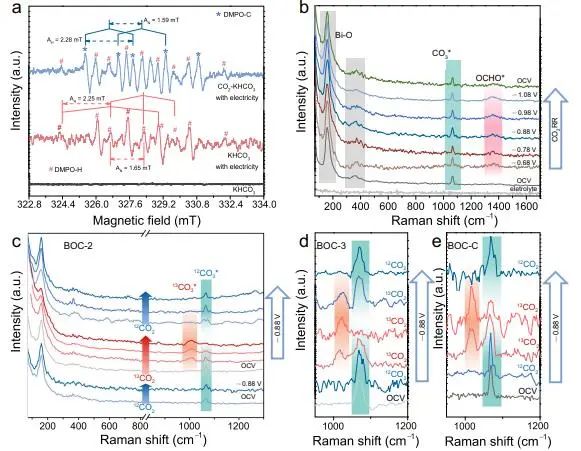 催化顶刊集锦：Nature、JACS、EES、ACS Catal.、ACS Nano、Small等成果精选！