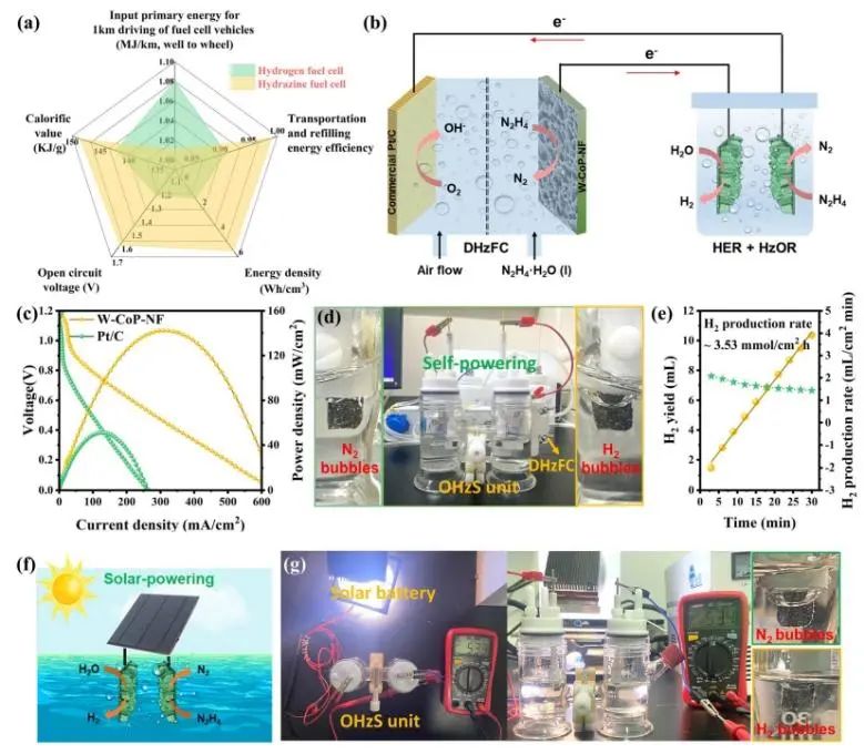 催化顶刊速递：Nature Catalysis、EES、Nature子刊、Angew、Sci. Adv.、ACS Nano等成果