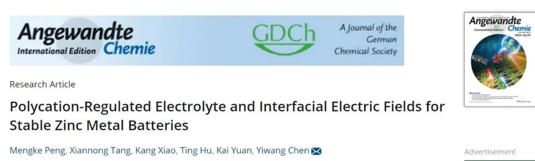 陈义旺/袁凯Angew.：聚阳离子添加剂提升Zn//Zn电池22寿命！