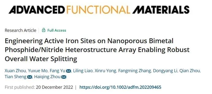 AFM：纳米多孔双金属磷化物/氮化物异质结阵列上的活性铁位点实现高效全水解