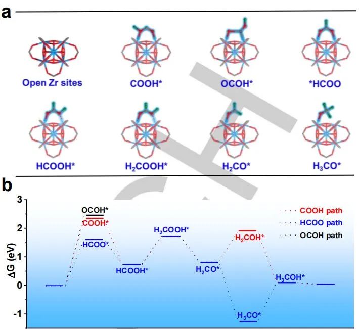 催化日报顶刊集锦：Angew./AFM/Small Methods/NML/ACS Catal./ACB等成果