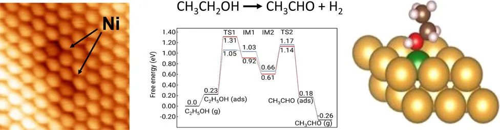 JACS：研究NiAu单原子合金催化乙醇脱氢的机理和电子学