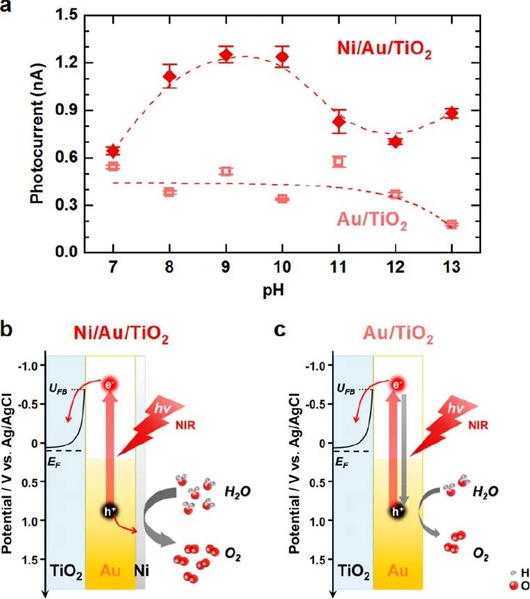 ACS Energy Lett.：等离子体激元加速TiO2单晶上Ni修饰的Au纳米二聚体上的水氧化