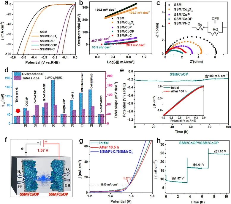 8篇催化顶刊：EES、Small、Adv. Sci.、JMCA、Nano Energy、Chem. Eng. J.等最新成果