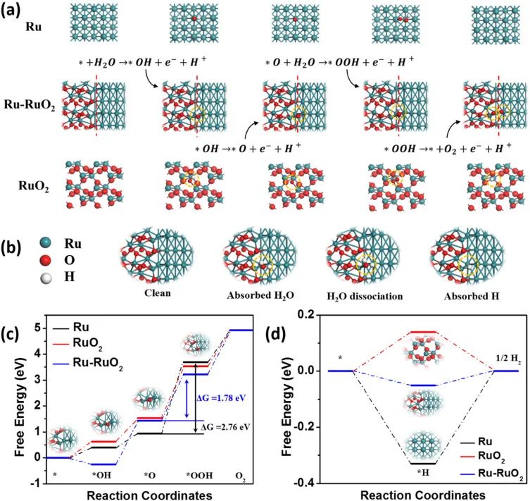 陈少伟、黎立桂、孟辉Appl. Catal. B.：三功能Mott-Schottky型电催化剂用于柔性锌-空气电池