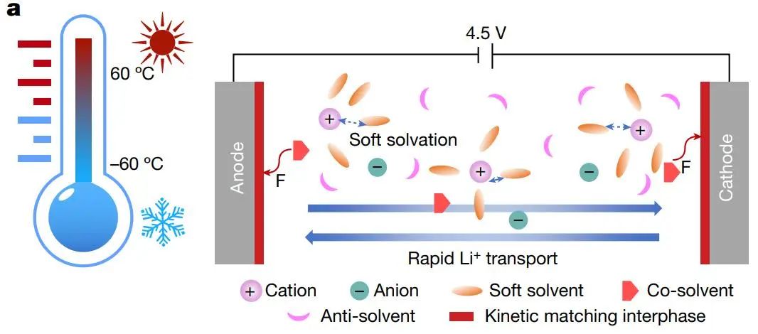 ​Oleg Borodin/王春生Nature: 极端运行条件下锂离子电池的电解液设计