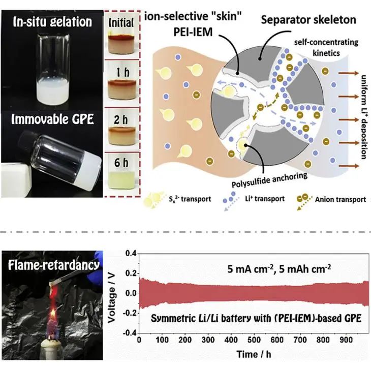 韦伟峰Matter: 电解液中植入离子选择性“皮肤”实现高能安全的锂硫电池