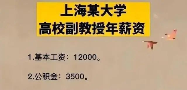 某211高校讲师晒工资条，网友：公积金数额令人瞩目...