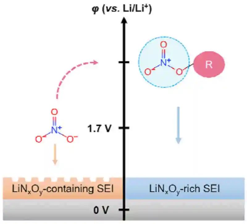 清华大学张强团队最新Angew：看硝酸根离子如何稳定SEI层