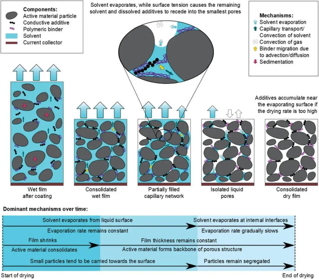 伦敦大学/法拉第研究所AEM：锂离子电池电极干燥的机理与计量综述