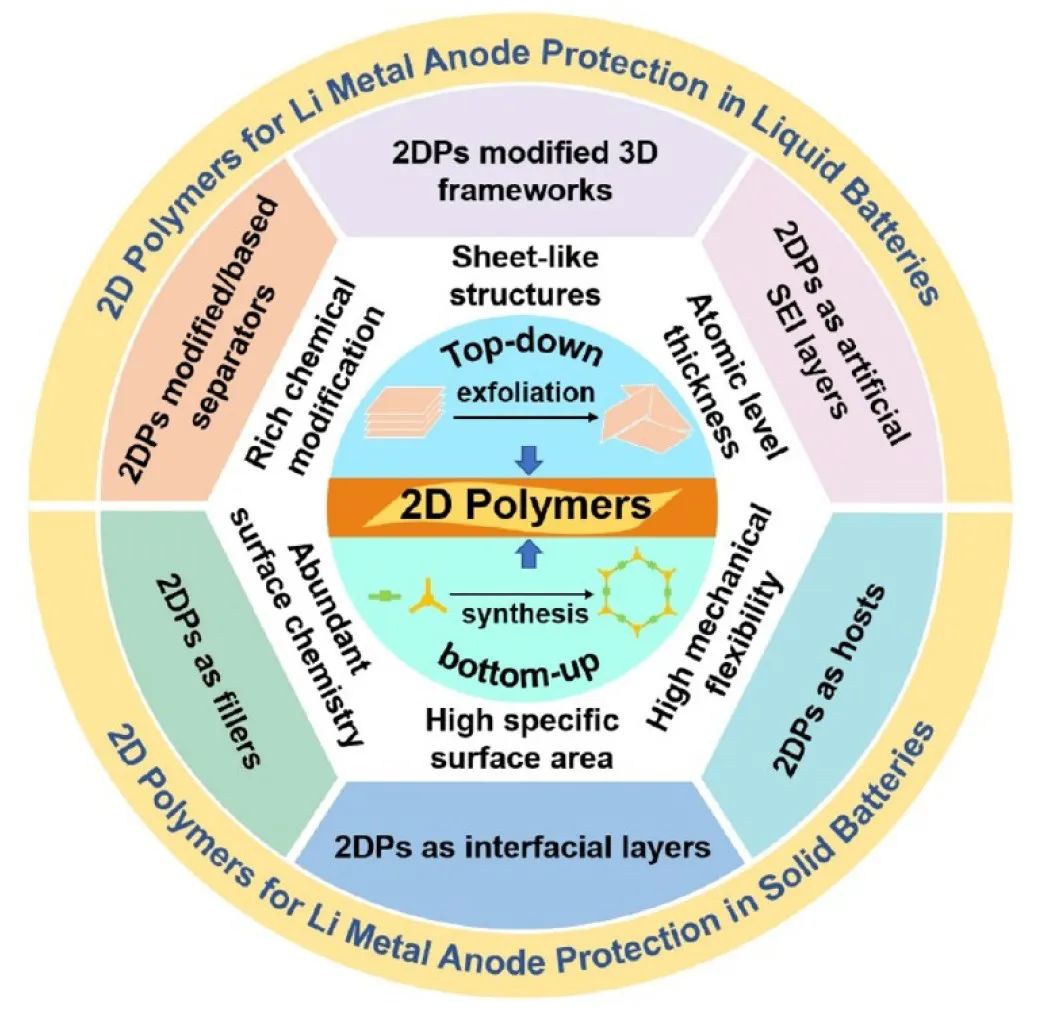 西湖大学徐宇曦ACS Nano：用于稳定锂金属电池的新兴二维聚合物