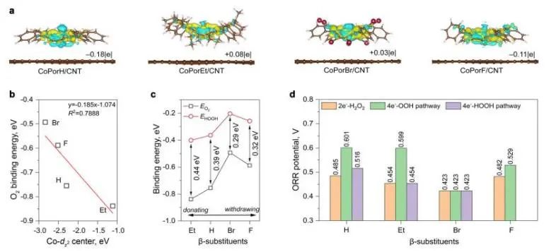 悉尼大学/日本东大EES：H2O2选择性超90%! 多相分子Co-N-C催化剂实现高效电化学合成H2O2