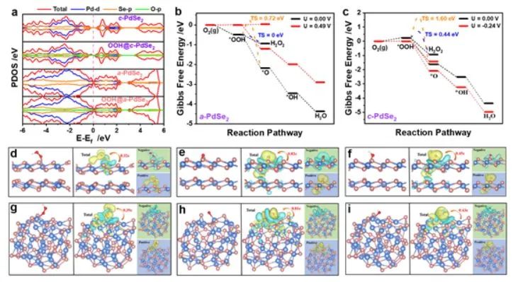 催化顶刊集锦：Nature子刊、Angew.、EES、JACS、AM、ACS Catalysis、Small等成果