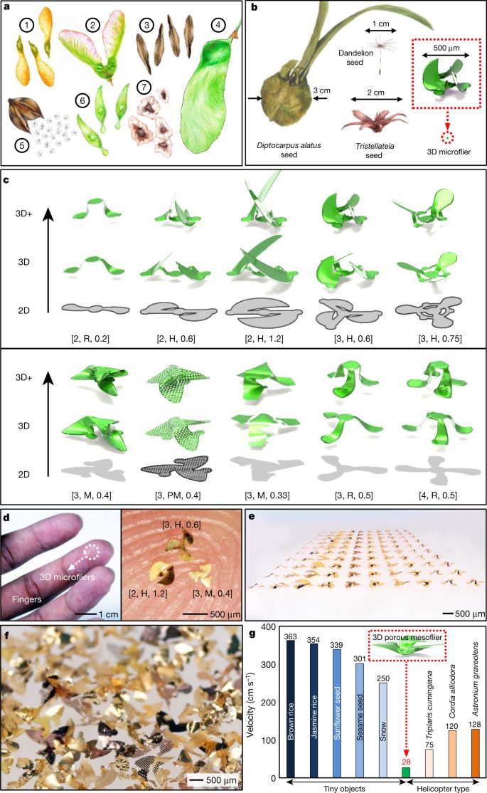 清华大学，再发Nature：像风一样自由