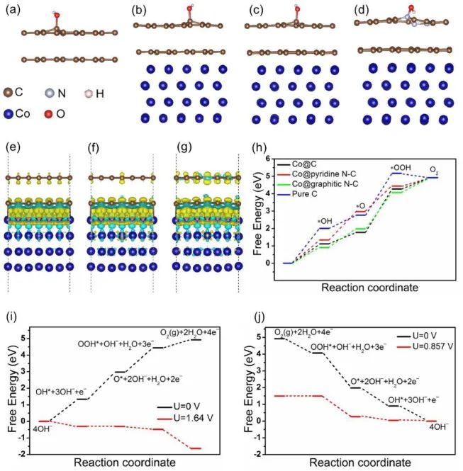 催化顶刊集锦：AFM、Appl. Catal. B.、Small、EnSM、Chem. Eng. J.等最新成果