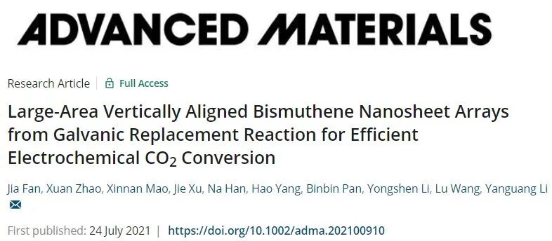 ​苏大李彦光AM: 大面积垂直排列的Bi纳米片阵列用于高效电化学 CO2转化