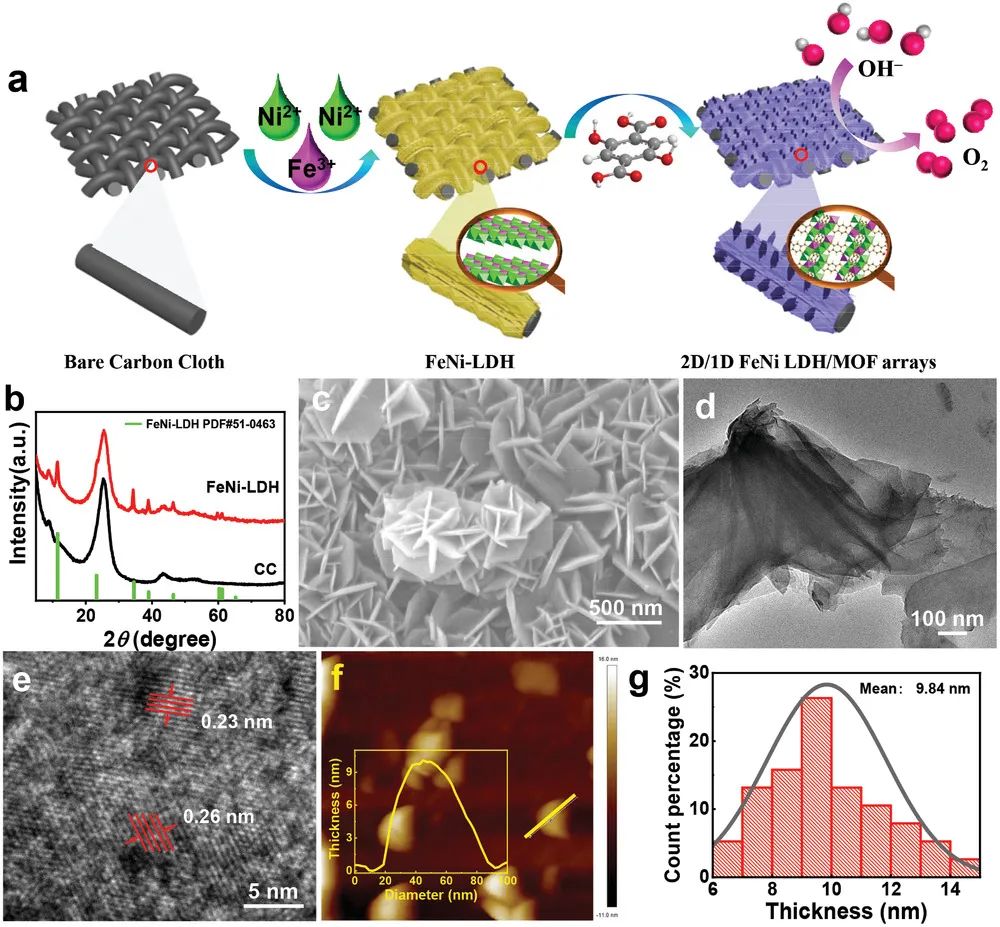 AFM: 充满1D FeNi-MOF的亚2 nm 2D FeNi LDH纳米片增强析氧电催化