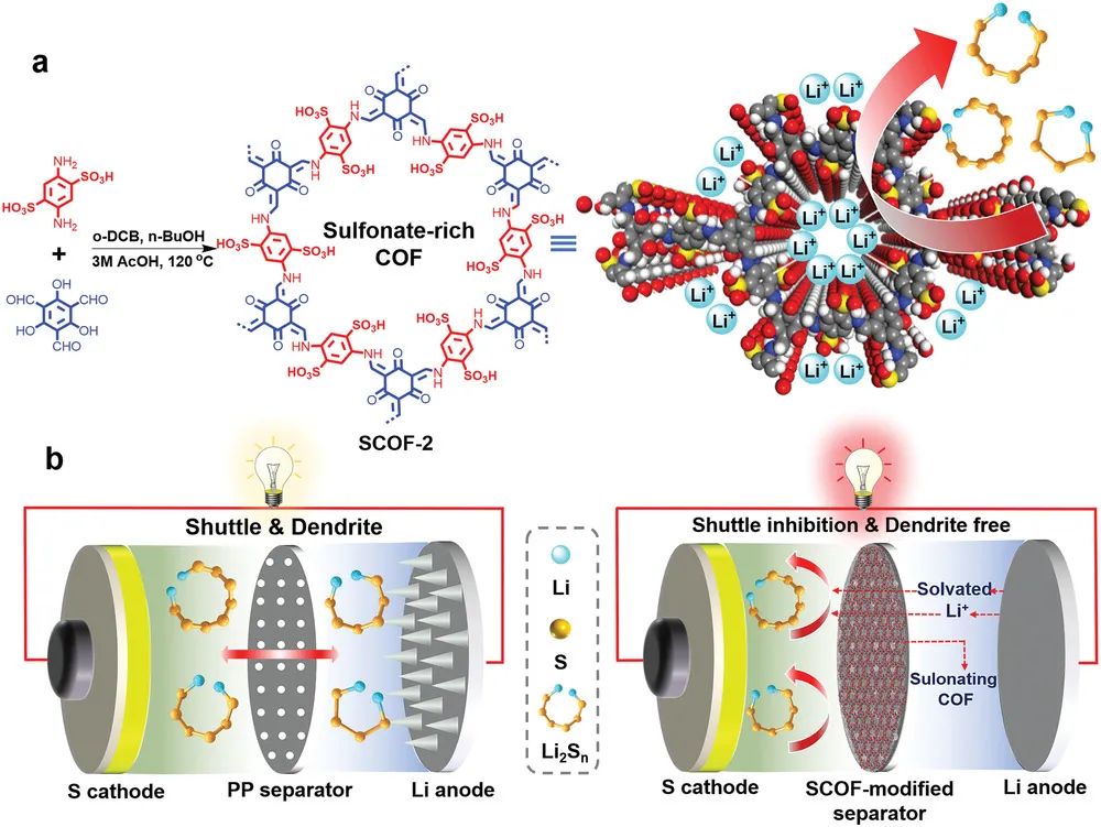 复旦王永刚/李伟AM：通过富含磺酸酯的COF改性隔膜实现高性能锂硫电池