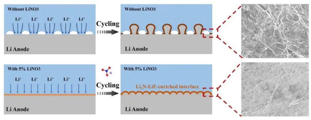 浙大韩伟强/韩高荣EnSM：硝酸锂诱导的稳定全固态锂金属电池的富Li3N-LiF界面
