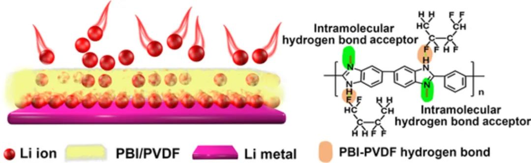 哈工大何伟东InfoMat: 用于实用锂金属电池的具有锂润湿和自氟化功能的聚苯并咪唑功能化电解质