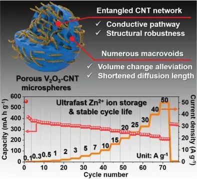 高丽大学Small Methods: 锚定大孔隙碳纳米管微球来提高V2O3的电化学性能，用于超快、长寿命的水系锌离子电池