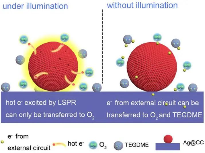 电池顶刊集锦：Mater. Today/AFM/JACS/Adv. Sci./EnSM/Nano Lett.等成果速递