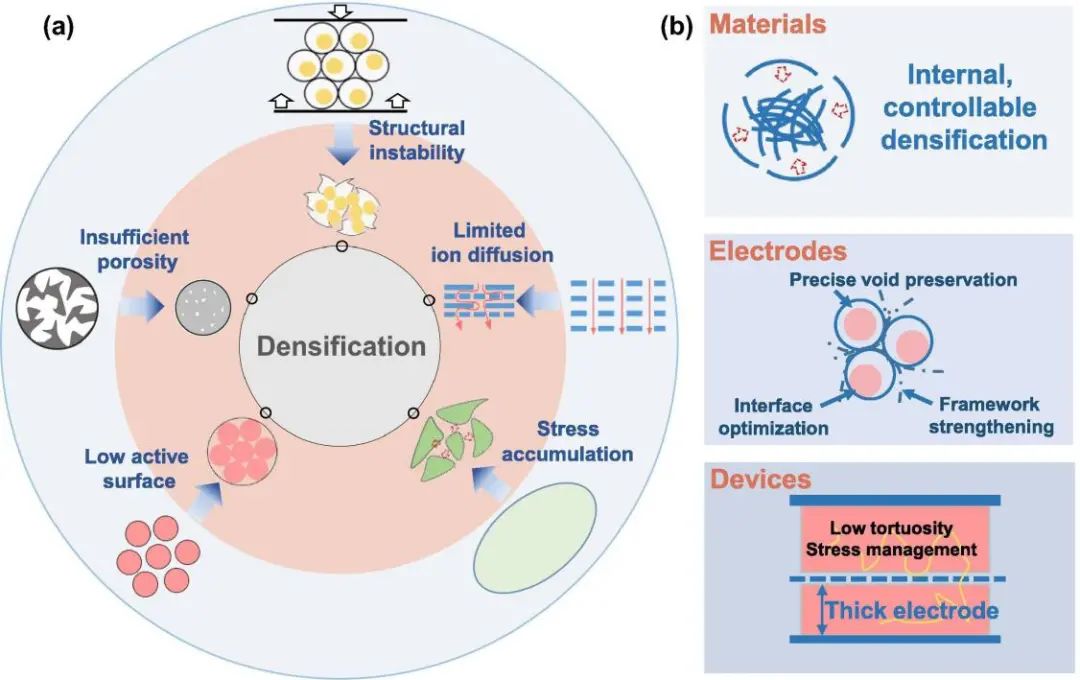 天大杨全红最新Materials Today: 石墨烯实现的紧凑型储能：挑战、策略和进展